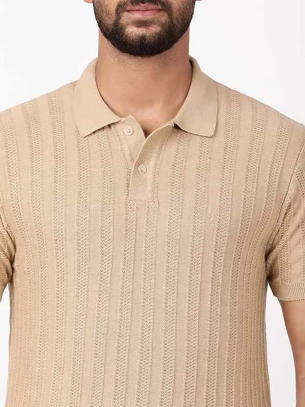 Men Striped Polo T-Shirt