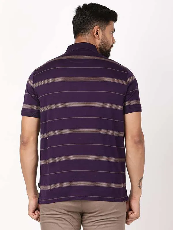 Men Striped Polo T-Shirt
